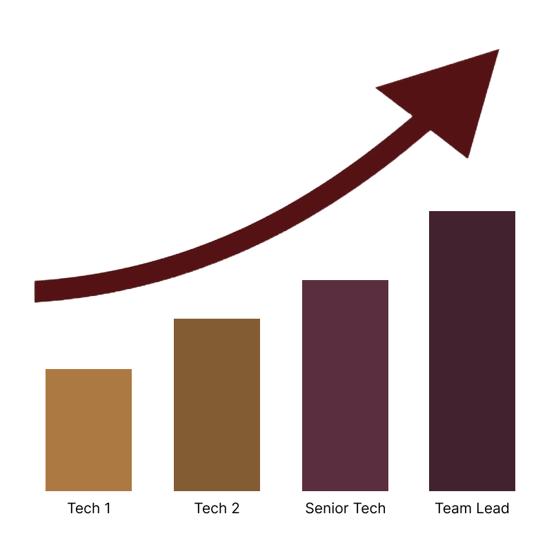 Simple careers graph of growth opportunities with the company